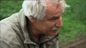 Động vật hoang dã có còn không?