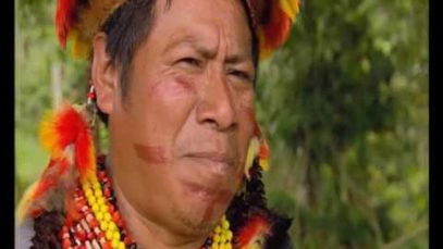 Trái đất không thuộc về con người mà con người thuộc về trái đất