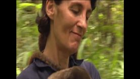 Amazon – Tương lai nào cho rừng và cư dân của rừng