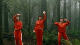 Amazon – Tương lai nào cho rừng và cư dân của rừng