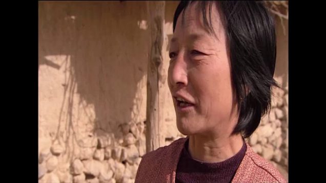 Sa mạc hóa tại Trung Quốc