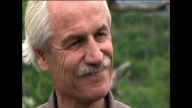 Tài nguyên – Thú hoang dã và tự nhiên