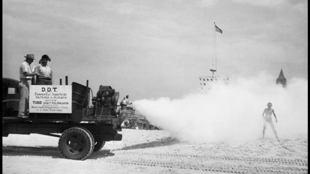 Thuốc trừ sâu DDT từng được coi là ‘tốt cho sức khỏe’ vào 50 năm trước