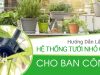 Tự làm Hệ Thống Tưới Nhỏ Giọt cho Ban Công tại nhà