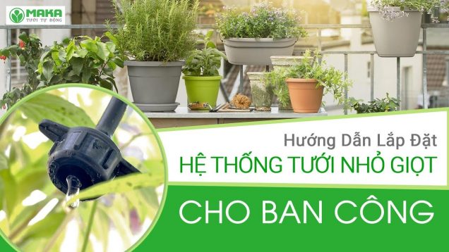 Tự làm Hệ Thống Tưới Nhỏ Giọt cho Ban Công tại nhà