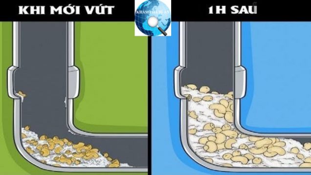 10 loại rác tuyệt đối không vứt vào ống cống nếu không muốn một ngày nhà ngập nước thải