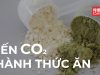 Biến CO2 thành thức ăn