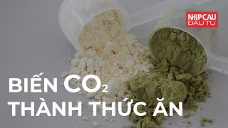 Biến CO2 thành thức ăn