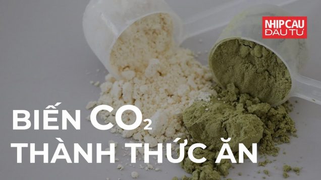Biến CO2 thành thức ăn