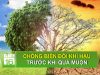 Chống biến đổi khí hậu trước khi quá muộn