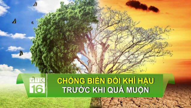 Chống biến đổi khí hậu trước khi quá muộn