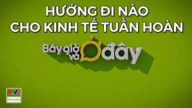 Hướng đi nào cho kinh tế tuần hoàn