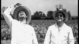 Làm da từ cây xương rồng