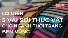 Lộ diện 5 vải sợi thực vật cho ngành thời trang bền vững