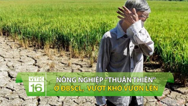 Nông nghiệp “thuận thiên” ở Đồng bằng sông Cửu Long: Vượt khó vươn lên