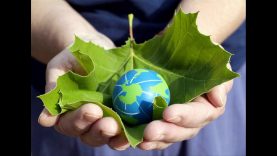 Sản phẩm xanh – Vật liệu từ cây chuối thay thế cho nhựa