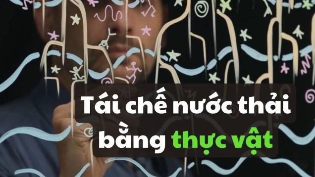 Cách tái chế nước thải bằng thực vật