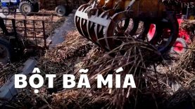 CÁCH THAY THẾ NHỰA BẰNG CÁC PHỤ PHẨM TỪ CÂY MÍA