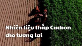 Chất thải nông nghiệp có thể tạo ra nhiên liệu thấp carbon hơn cho tương lai