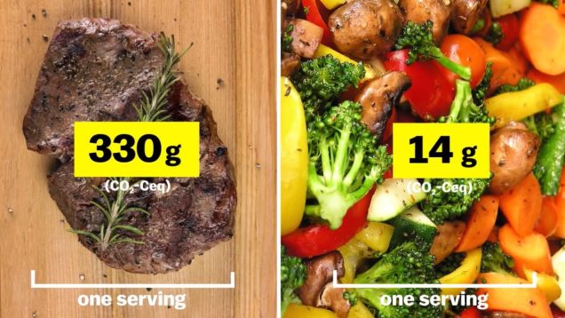 CHẾ ĐỘ ĂN UỐNG GIÚP CHỐNG LẠI BIẾN ĐỔI KHÍ HẬU