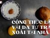 CÔNG THỨC LÀM VẢI SINH HỌC TỪ TRÁI XOÀI TẠI NHÀ
