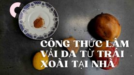 CÔNG THỨC LÀM VẢI SINH HỌC TỪ TRÁI XOÀI TẠI NHÀ