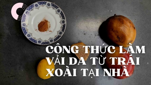 CÔNG THỨC LÀM VẢI SINH HỌC TỪ TRÁI XOÀI TẠI NHÀ