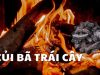 [Độc lạ tái chế] – CỦI BÃ TRÁI CÂY