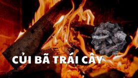 [Độc lạ tái chế] – CỦI BÃ TRÁI CÂY