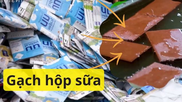GẠCH HỘP SỮA