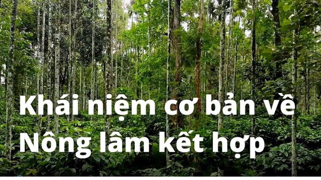 Khái niệm cơ bản về Nông lâm kết hợp