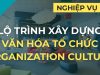 Lộ trình xây dựng văn hóa tổ chức – Organizational culture