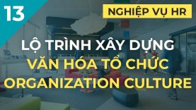 Lộ trình xây dựng văn hóa tổ chức – Organizational culture