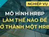 Mô hình HR Business Partner tại Mỹ – Làm thế nào để trở thành một HRBP?