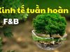 Mô hình kinh tế tuần hoàn cho ngành thực phẩm và đồ uống