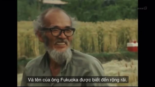 Ông Fukuoka với cuộc cách mạng 1 cọng rơm