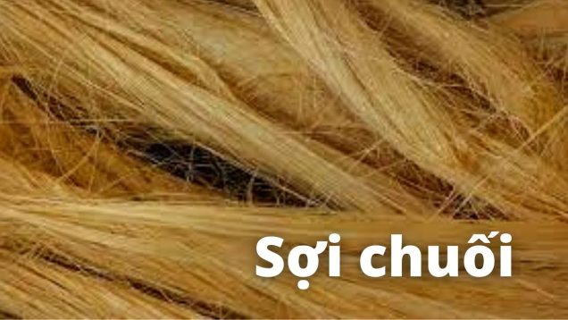 Sợi chuối sao vẫn chưa phổ biến?