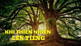 THIÊN NHIÊN ĐANG LÊN TIẾNG