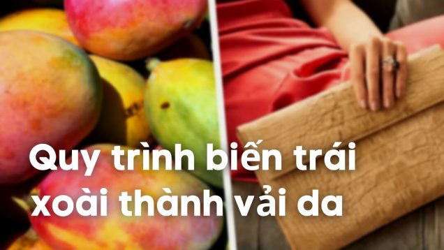 Vải da từ trái xoài được làm như thế nào?
