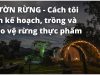 Vườn rừng – Cách tôi lập kế hoạch, trồng và bảo vệ rừng thực phẩm của mình