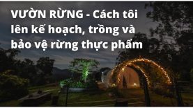 Vườn rừng – Cách tôi lập kế hoạch, trồng và bảo vệ rừng thực phẩm của mình