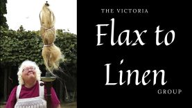 Flax to Linen: How to grow flaxseed and transform it into linen cloth