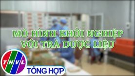Khởi nghiệp xanh: Mô hình khởi nghiệp với trà dược liệu