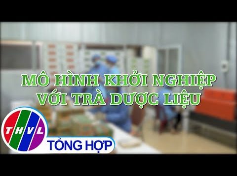 Khởi nghiệp xanh: Mô hình khởi nghiệp với trà dược liệu