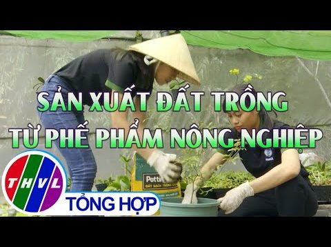 Khởi nghiệp xanh: Sản xuất đất trồng từ phế phẩm nông nghiệp