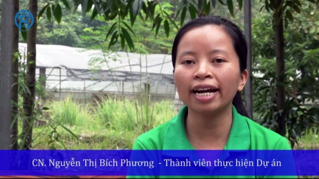 Phân bón lá dạng dịch chất lượng cao chứa chitosan và axít amin từ bã men bia