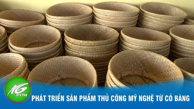 Phát triển sản phẩm thủ công mỹ nghệ từ cỏ bàng