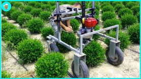 Ý Tưởng Canh Tác Thông Minh Và Những Phát Minh Tuyệt Vời Cho Năng Suất Tối Đa | Nông Nghiệp Hiện Đại