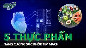 5 Loại Thực Phẩm Giúp Tăng Cường Sức Khỏe Tim Mạch