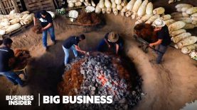 Can India’s Rare Toddy Liquor Become The Next Mezcal?